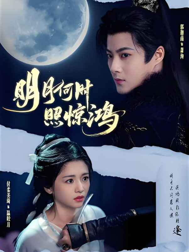 明月何时照惊鸿