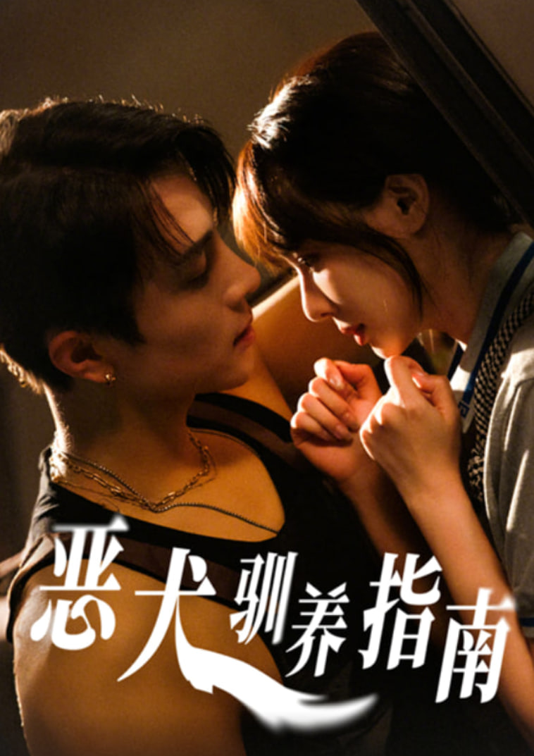 恶犬驯养指南