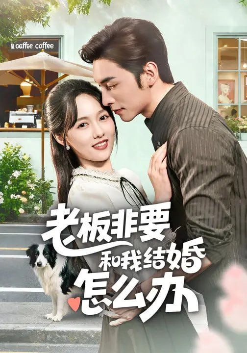 老板非要和我结婚怎么办