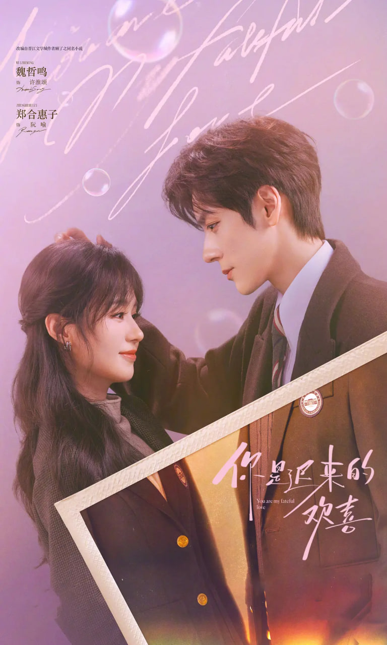 你是迟来的欢喜